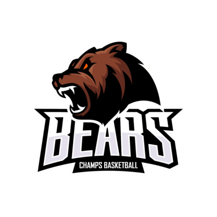 Les Clubs Du 77 Basket77 les-clubs-du-77-basket77