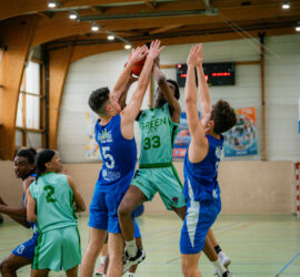 CD77 QUENTINLAB-157